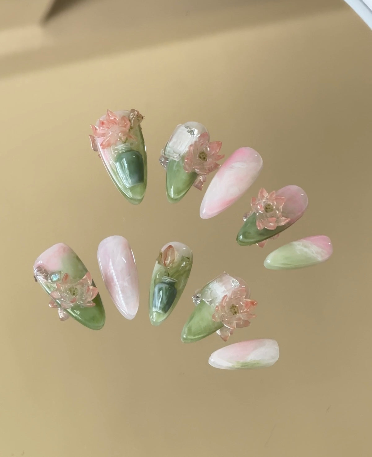 Lotus almond type(Activity price)